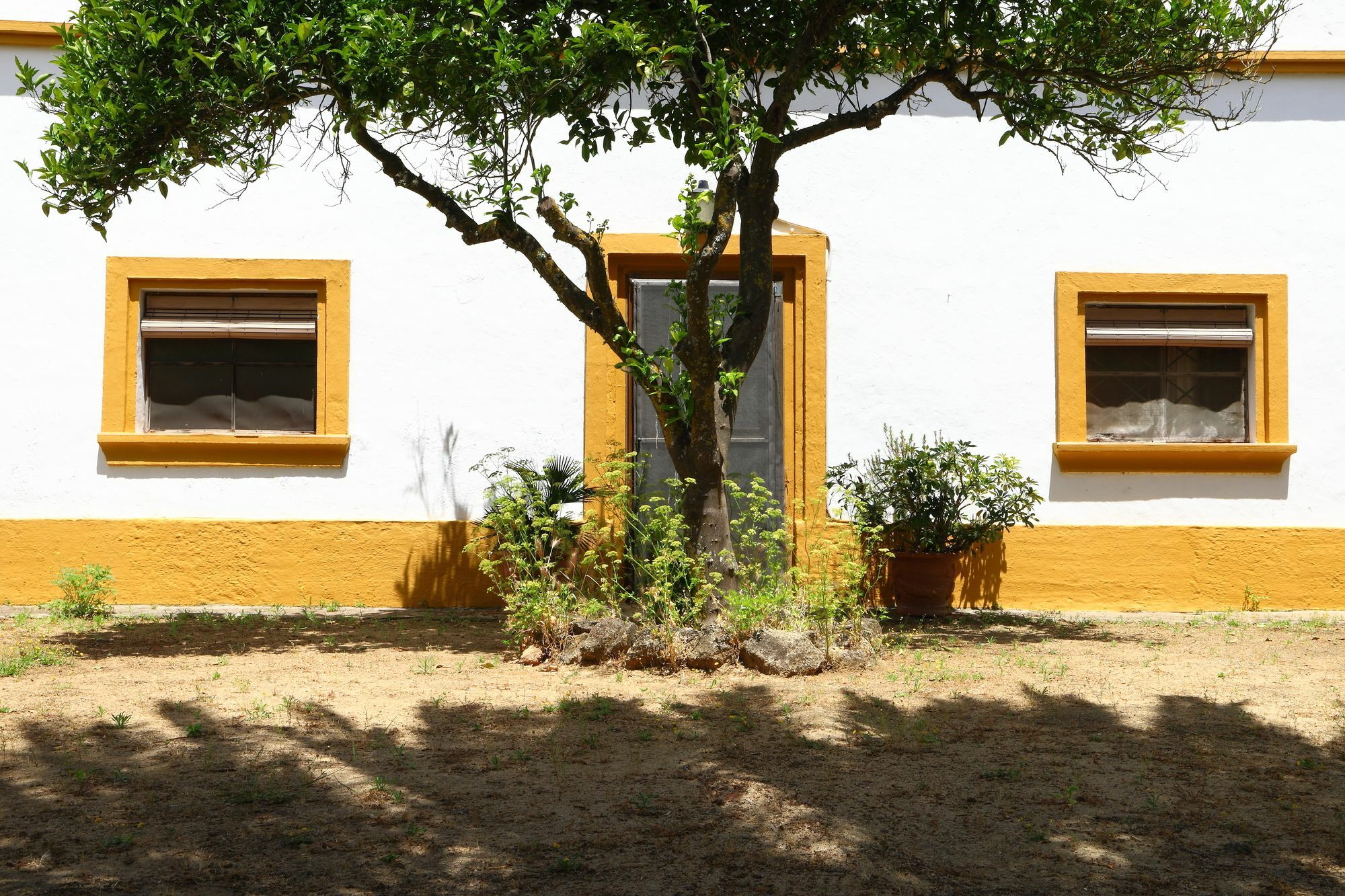مْبيخير ذي لا فرونتيرا Casa Rural Finca Los Hierros المظهر الخارجي الصورة